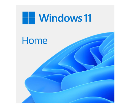 System operacyjny Microsoft Windows 11 Home OEM DVD PL